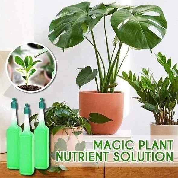 EcoGardenMart's Magic Hydroponic liquid fertilizer