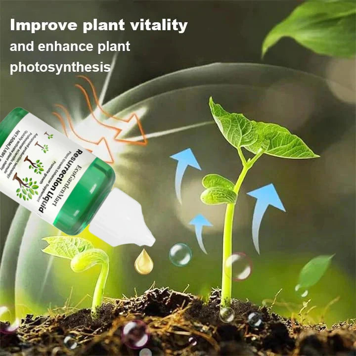 EcoGardenMart™ Plant Resurrection Liquid  – Powerful, Eco-Friendly Formula to Revive Plants! [2+1 FREE]