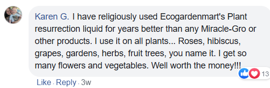 Customer Review 1