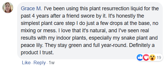 Customer Review 2