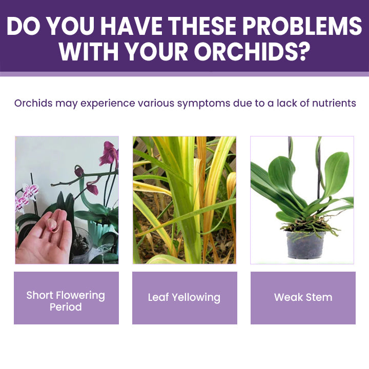 ECOGARDENMART'S Orchid Plus Bloom Booster [2+1 FREE!]