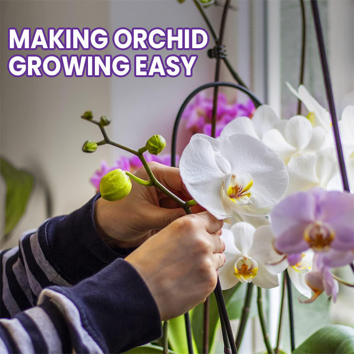 ECOGARDENMART'S Orchid Plus Bloom Booster [2+1 FREE!]