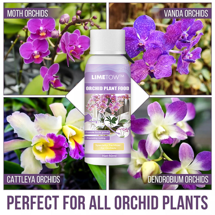 ECOGARDENMART'S Orchid Plus Bloom Booster [2+1 FREE!]