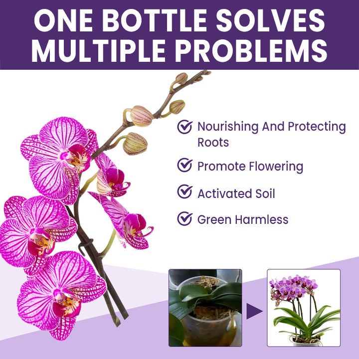 ECOGARDENMART'S Orchid Plus Bloom Booster [2+1 FREE!]