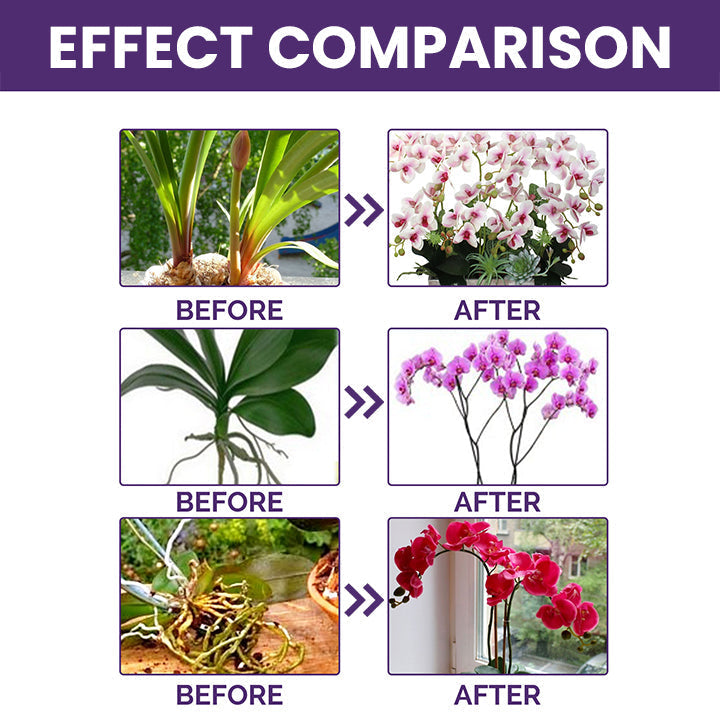 ECOGARDENMART'S Orchid Plus Bloom Booster [2+1 FREE!]