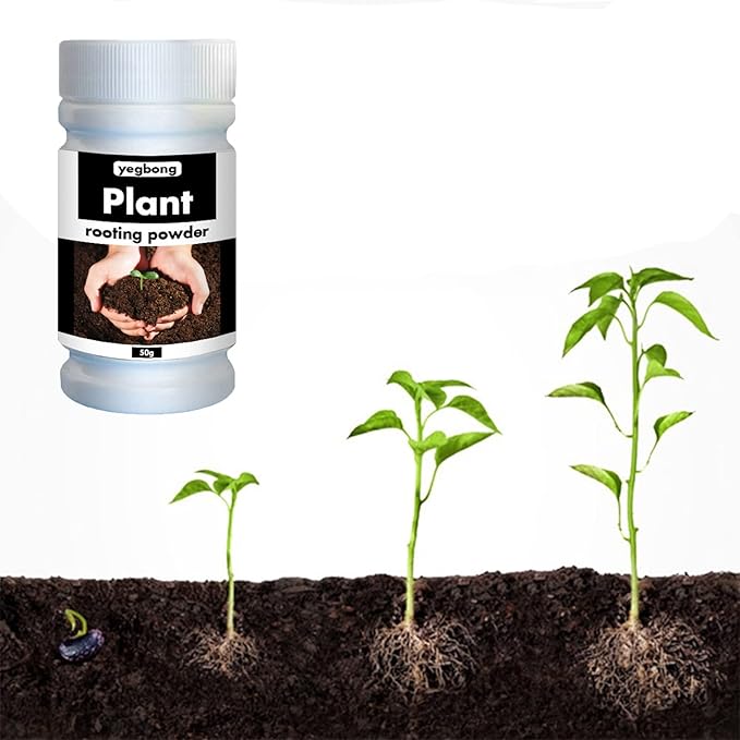 ECOGARDENMART™ Yegbong Rapid Rooting Fertilizer Powder – Promote Rapid Growth and Strong Roots, Naturally!