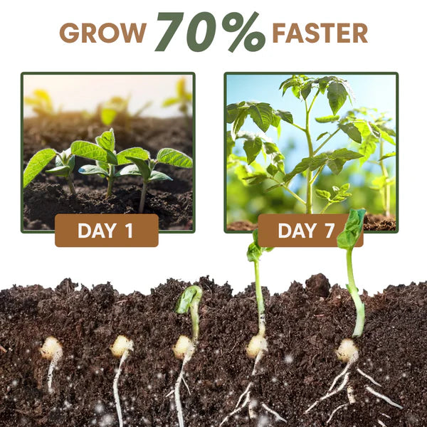 ECOGARDENMART™ Yegbong Rapid Rooting Fertilizer Powder – Promote Rapid Growth and Strong Roots, Naturally!