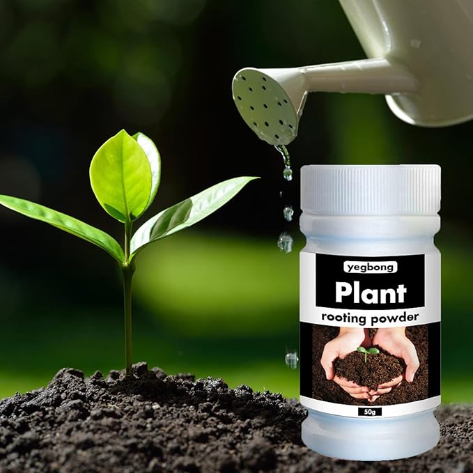 ECOGARDENMART™ Yegbong Rapid Rooting Fertilizer Powder – Promote Rapid Growth and Strong Roots, Naturally!