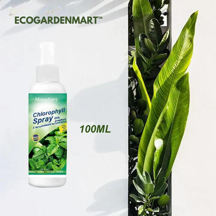 EcoGardenMart's Nutrient-rich Liquid Chlorophyll Spray