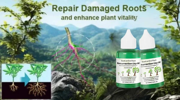 EcoGardenMart™ Plant Resurrection Liquid – Powerful, Eco-Friendly Formula to Revive Plants! [2+1 FREE]