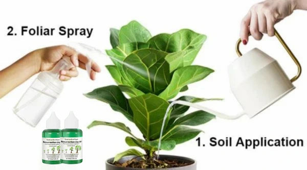 EcoGardenMart™ Plant Resurrection Liquid – Powerful, Eco-Friendly Formula to Revive Plants! [2+1 FREE]