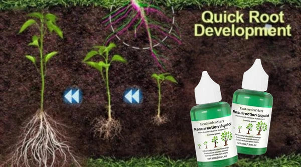 EcoGardenMart™ Plant Resurrection Liquid – Powerful, Eco-Friendly Formula to Revive Plants! [2+1 FREE]