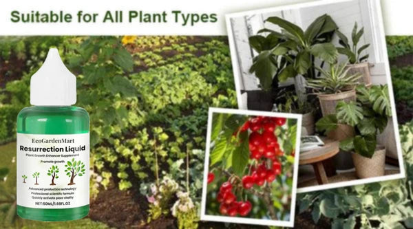 EcoGardenMart™ Plant Resurrection Liquid – Powerful, Eco-Friendly Formula to Revive Plants! [2+1 FREE]