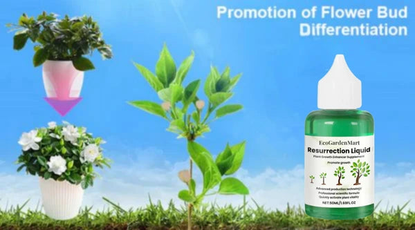 EcoGardenMart™ Plant Resurrection Liquid – Powerful, Eco-Friendly Formula to Revive Plants! [2+1 FREE]