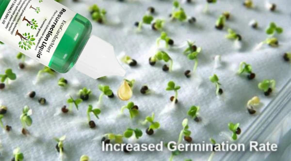 EcoGardenMart™ Plant Resurrection Liquid – Powerful, Eco-Friendly Formula to Revive Plants! [2+1 FREE]