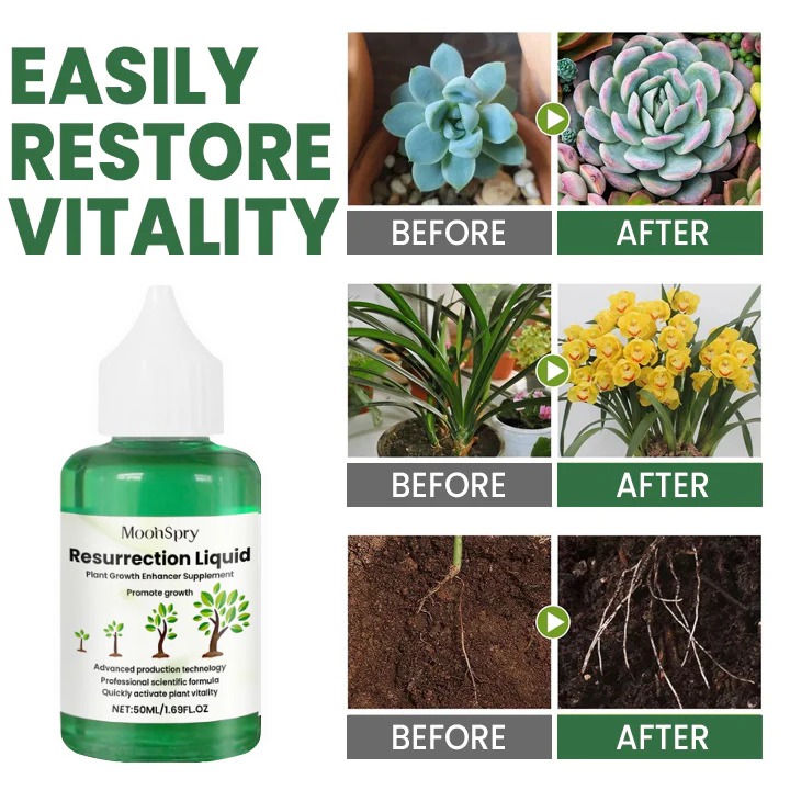 ECOGARDENMART Moonspry™ Plant Resurrection Liquid [2+1 FREE]