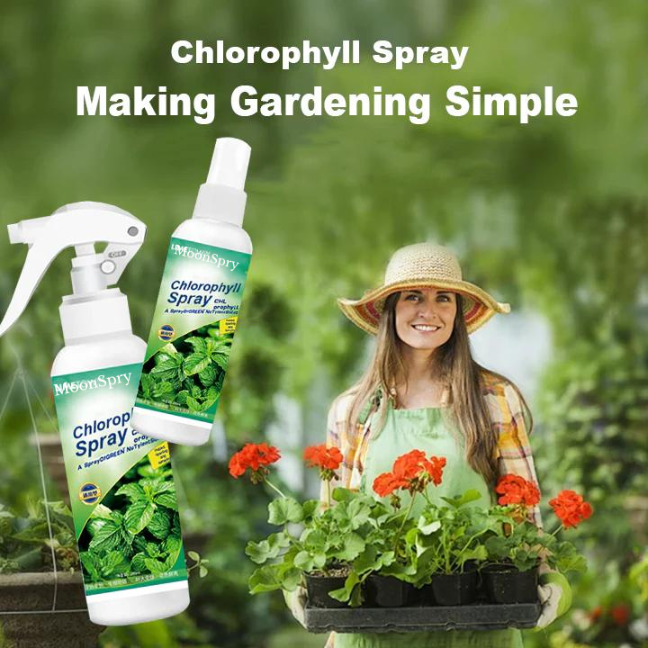 EcoGardenMart's Nutrient-rich Liquid Chlorophyll Spray