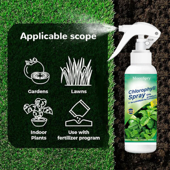 EcoGardenMart's Nutrient-rich Liquid Chlorophyll Spray