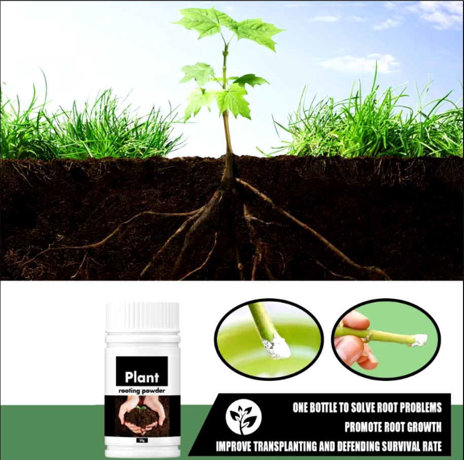 ECOGARDENMART™ Yegbong Rapid Rooting Fertilizer Powder – Promote Rapid Growth and Strong Roots, Naturally!